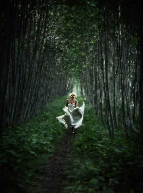 BESTE BRUDEBILDE: �Secret Garden� av  Erlend B. Enger, Trondheim.