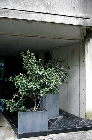 Lukker for det onde: I f�lge feng-shui skal man ikke ha en vei rett inn i huset, men noe som sperrer.