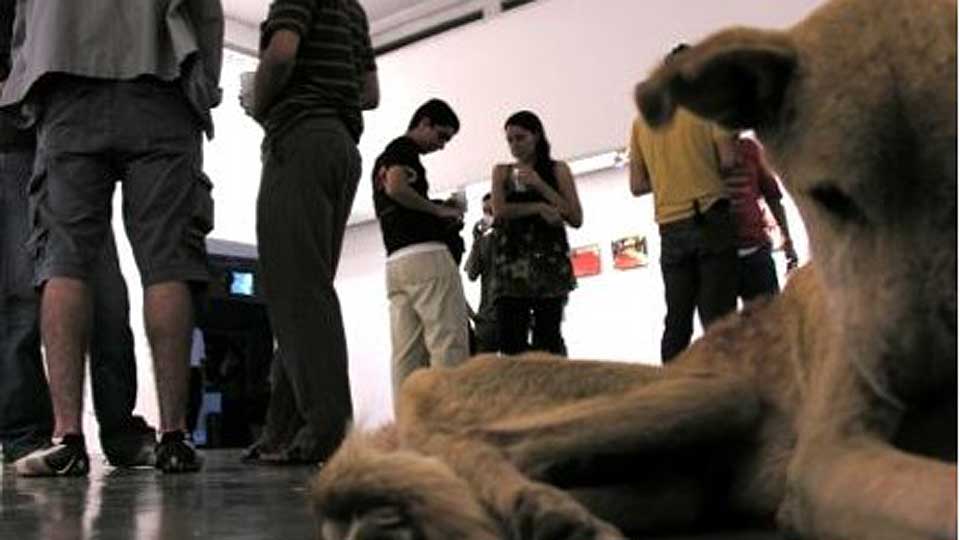 D�DE DENNE HUNDEN?: If�lge kunstneren brydde ingen av publikummerne seg om at den sultet ihjel. Sp�rsm�let er om han snakker sant.