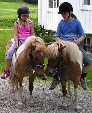 FLERE TILBUD: Hos Nortrek kan barna blant annet pr�ve seg p� ridning.