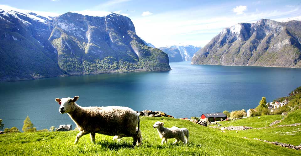GLANSBILDET: Slik ser det ut i Aurlandsfjorden, der toget i reklamen er p� vei ned fjellsiden. Se bildet under til h�yre.