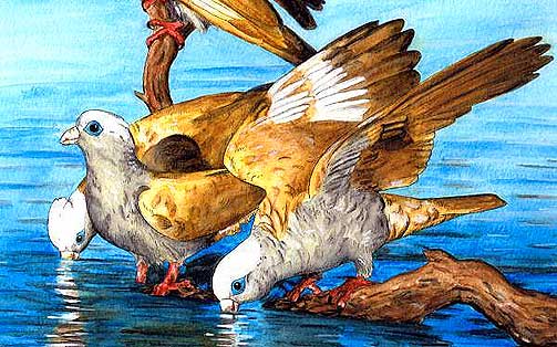 �MOPSITTA TANTA�: Arten, som ble oppdaget gjennom et fossilfunn i Danmark, har f�tt navnet �Danish Blue�. Museumsansatte David Waterhouse er selv Monty Python-fan, og var snar med � hylle �Dead Parrot�-sketsjen da han gjorde funnet.