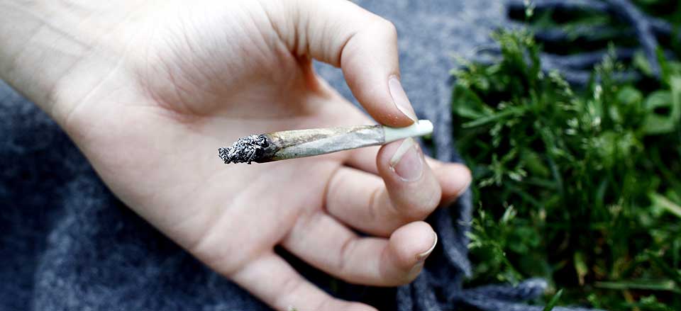 POPUL�RT BLANT UNGE: N�rmere halvparten av unge nordmenn pr�ver cannabis, viser den f�rste unders�kelsen i sitt slag i norsk sammenheng.
