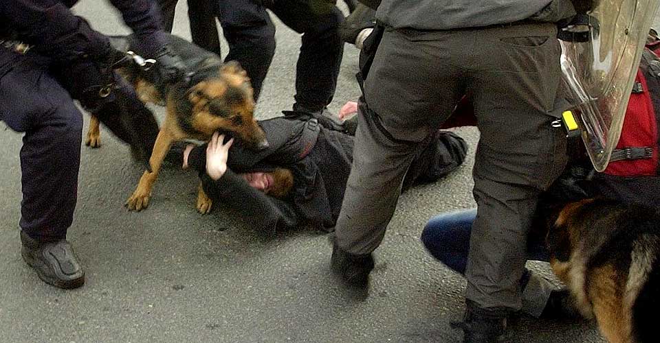 IKKE R�R BIKKJA! Politihund biter demonstrant som ligger p� bakken under en demonstrasjon mot krigen i Irak, i Oslo i 2002.