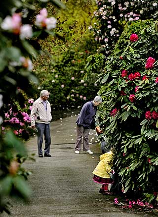 MANGE GJEMMESTEDER: De minste elsker Kew Garden. Her finner fire �r gamle Julia fra Litauen et gjemmested.