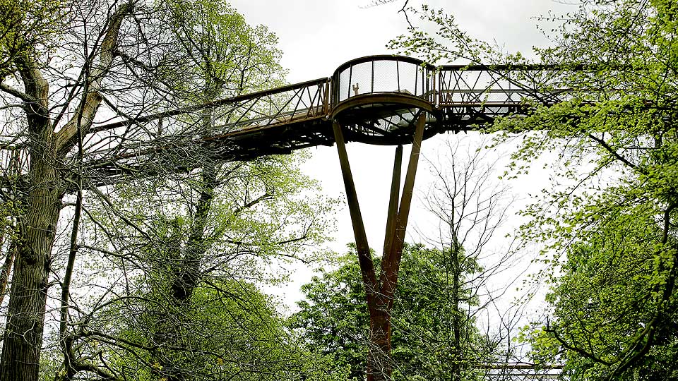 FRA TOPPEN AV ET TRE: Den nye gangstien i tretoppene er sommerens store nyhet i Kew Garden. Prislappen er p� vel 30 millioner kroner.