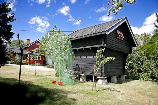LEID UT UTEN TILLATELSE:  Stabburet p� g�rden til �slaug Haga var ikke godkjent til utleieform�l, og da det ble kjent at hun hadde leid det ut flere �r enn f�rst opplyst i g�r, valgte hun i dag � trekke seg.