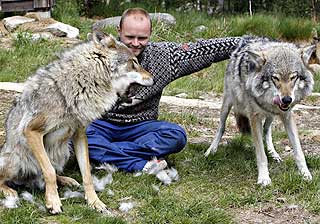 SOSIALISERTE ULVER: Rovdyransvarlige Frank Andr� Soma,