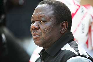 I DEKNING: Tsvangirai er for tida i dekning i den nederlandske ambassaden i Harare, etter at Mugabes politistyrker raidet MDCs partihovedkvarter i g�r.