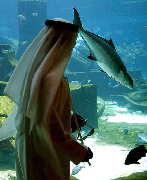 LUKSUS: Atlantis er hotell, akvarium, badepark og restauranter. Og minstepris per natt er 450 dollar, eller rundt 2250 kroner.