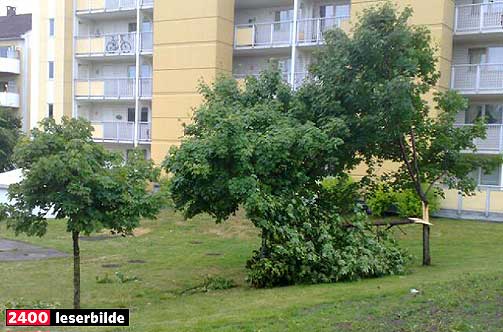 NEDSLAG: Lynnedslag p� Ensj� nord�st i byen.