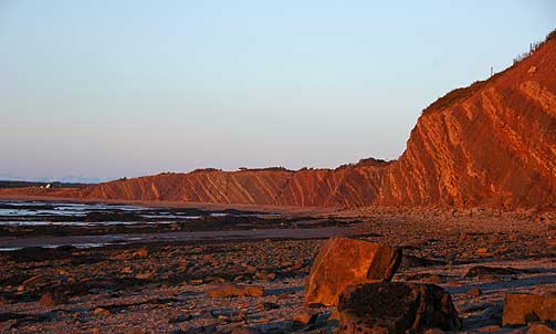 CANADA: Klippene Joggins Fossil langs Canadas �stkyst, har det UNESCO kaller en rik samling fossiler. 148 fossile arter og 20 fotavtrykk som stammer fra  karbontida(354-290 millioner �r siden).