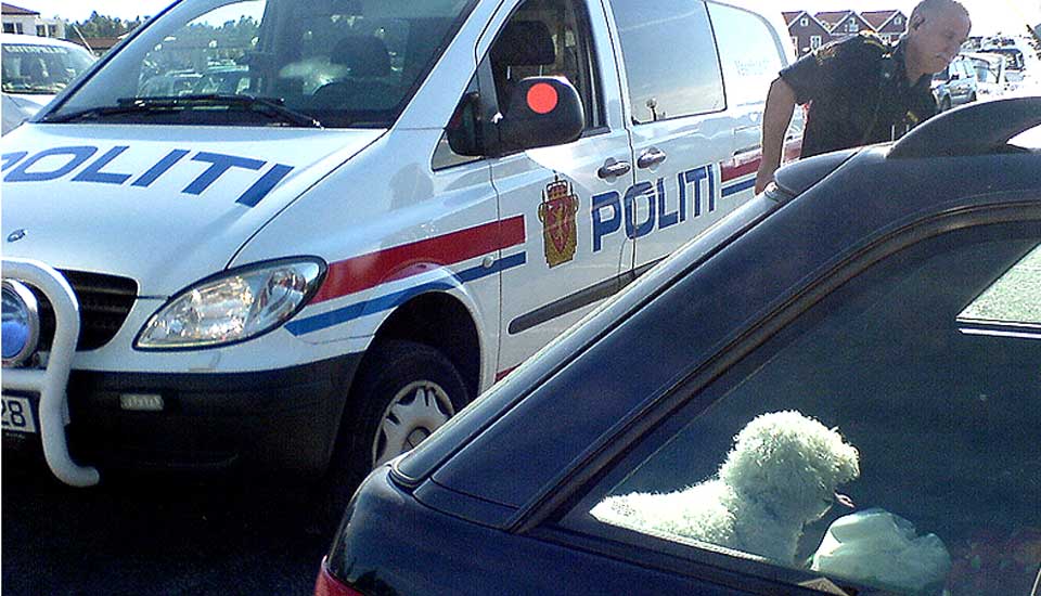 HJELPES UT:  Hunden befant seg i den glovarme bilen over en time. Dette er sv�rt farlig for hunder som d�r hvis kroppstemperaturen blir 42 grader.