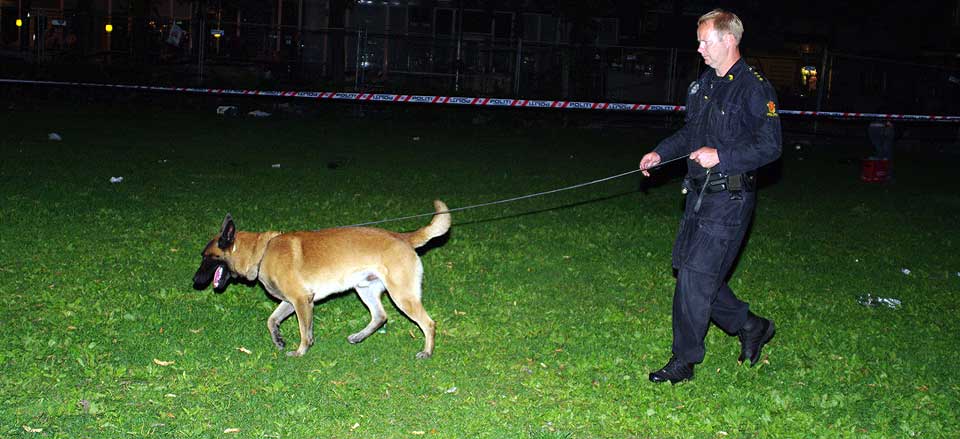 INGEN TATT: Politiet saumfarte omr�det utenfor �stbanehallen, men s� langt er ingen p�grepet etter den angivelige voldtekten midt i Oslo sentrum.