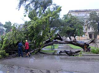 HAVANA: Stormsenteret traff Cuba 100 kilometer s�rvest for Havana, men orkanen gjorde likevel stor skade i den Cubanske hovedstaden.