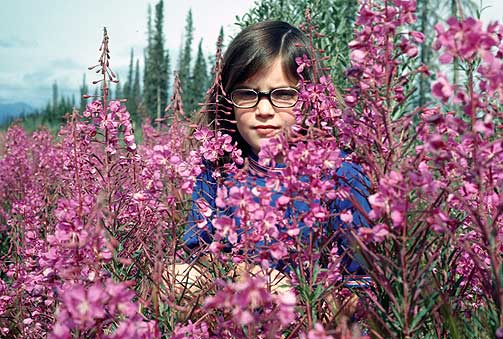 FRA ALASKA: En rekke gamle privatbilder av Palin har blitt delt ut av familien og sendt ut p� de store fotobyr�ene, blant annet dette blomsterbildet.