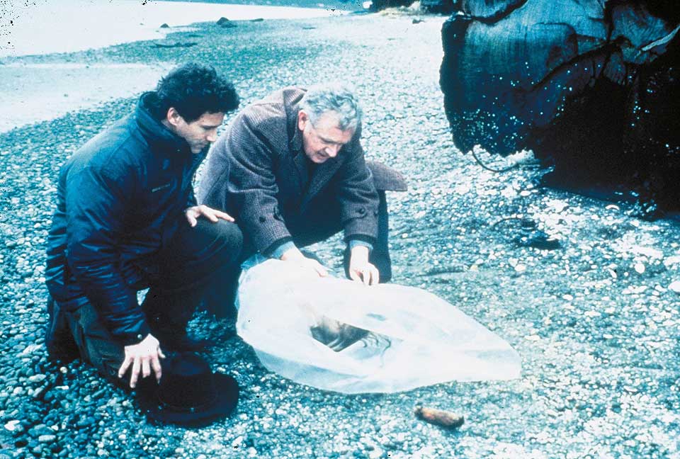 FUNNET DREPT: Serien ruller igjen p� TV 2, men hva gjorde stjernene etter Twin Peaks?