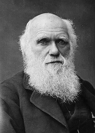 EVOLUSJONENS FAR: Neste �r er det 200 �r siden Charles Darwin ble f�dt, og 150 �r siden han ga ut �Artenes opprinnelse�, som dannet grunnlaget for evolusjonsteorien. Den dag i dag er det fortsatt de som betviler denne.