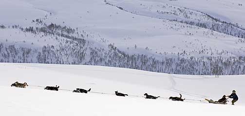 MOT POLARSIRKELEN: Med moderne satelittnavigasjonsutstyr satt Joanna Lumley seg godt til rette i en hundeslede og dro innover fjellet for � finne grensen for polarsirkelen i dyp sn� og mange minusgrader.
