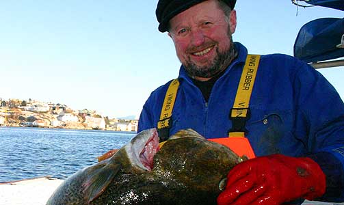 TORSKEN FORSVINNER: Sjarkfisker Jarle Johansen i Kristiansund selger torsk p� kaia. I framtida kan det bli helt andre typer fisk.