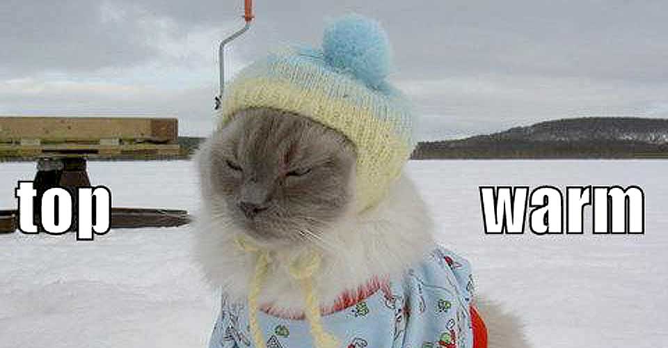 KATTEHUMOR: LOL cats har blitt et stort fenomen p� nettet. N� tar de ogs� steget over p� kunstmarkedet. Se bilder under.