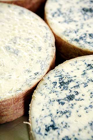BL� SIGNATUR: Gorgonzola er for Italia hva Roquefort er for Frankrike.