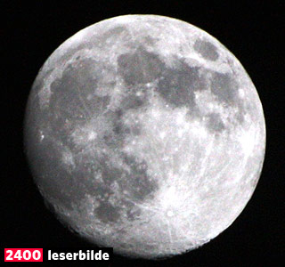  KOLBOTN:   Tatt med Canon EOS 450D og 300 mm p� 1/200 sekund.