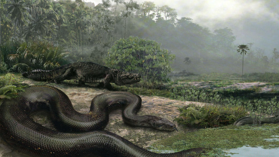 白垩纪巨蛇图片